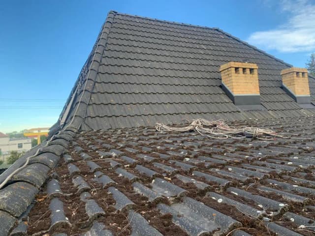 Jak wyczyścić dachówkę betonową: proste metody i niezbędne narzędzia Jak wyczyścić dachówkę betonową: proste metody i niezbędne narzędzia